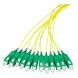 Cavo di collegamento in fibra di vetro OS2 giallo SC/APC - 12 pezzi